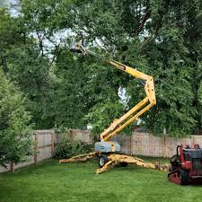 Best Emergency Tree Removal  in Ocean City, MD
