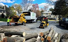 Best Lawn Irrigation Installation and Maintenance  in Ocean City, MD