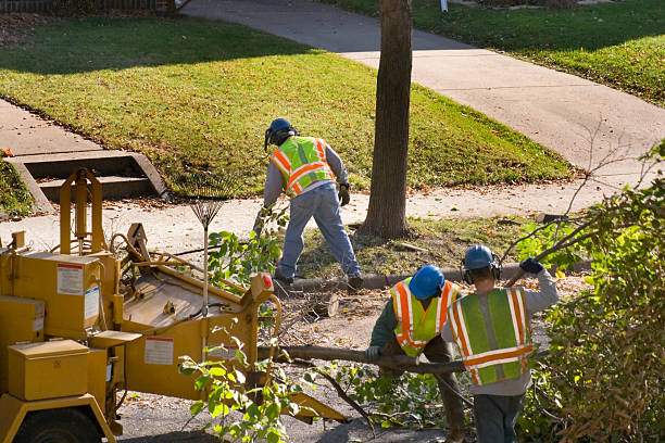 Best Tree Risk Assessment  in Ocean City, MD